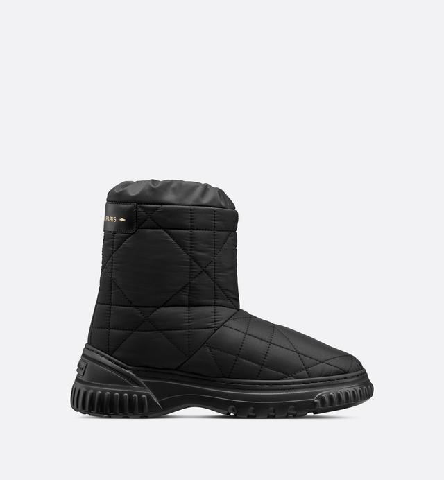 Dior Frost Ankle Boot